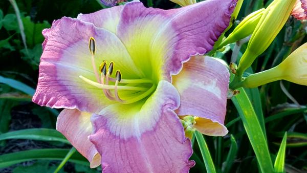 20160710_074205