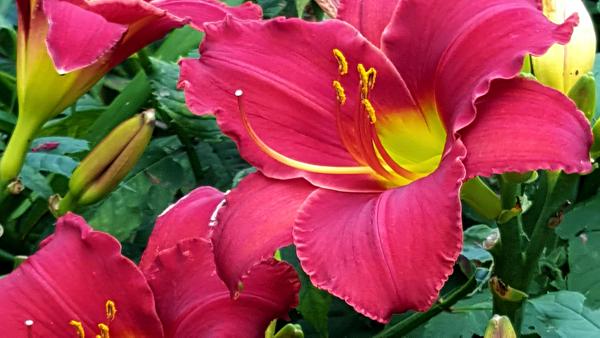 20150723_122421