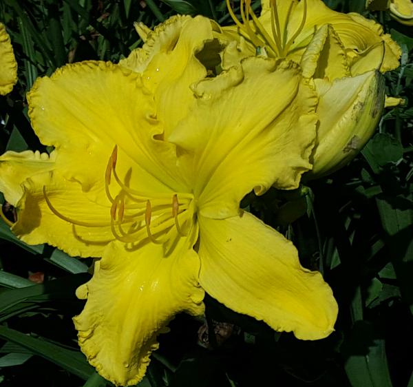 20150717_092622-1-1