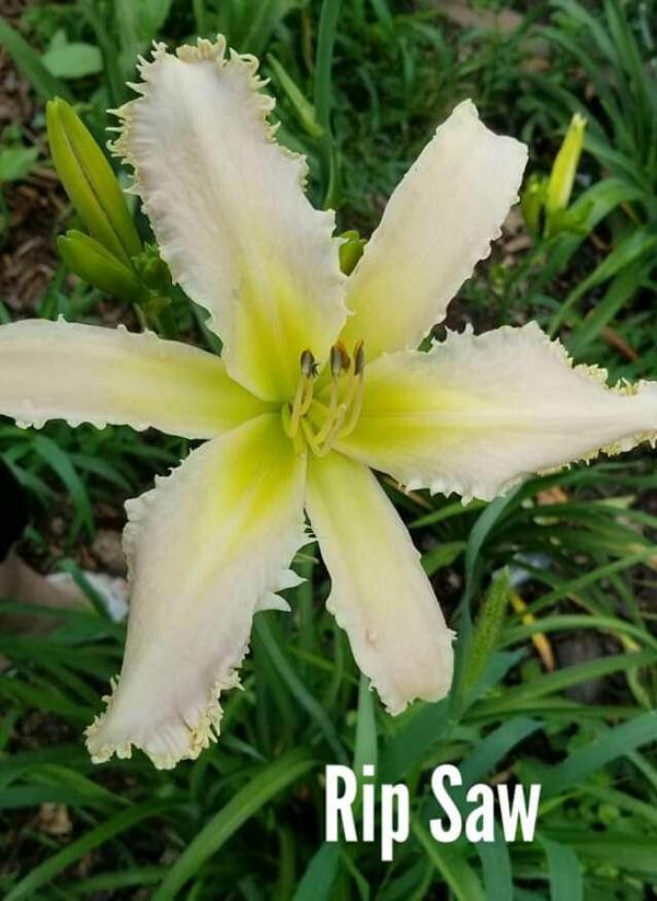 received_1168413707396924